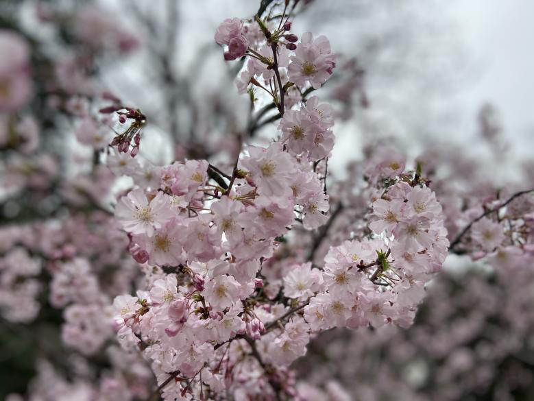 圖片7.png 圖片7.png